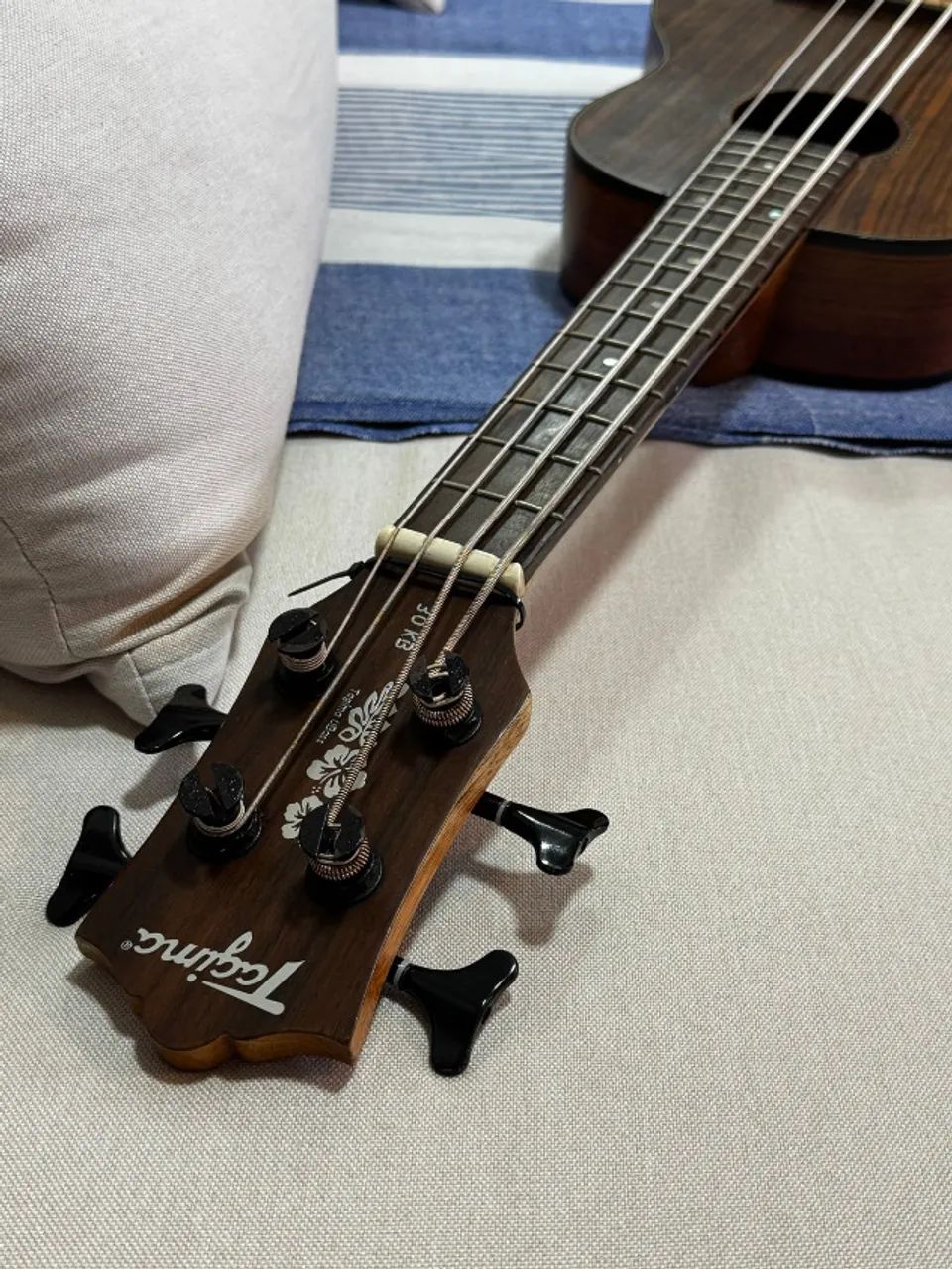 Tagima UBass 30KB