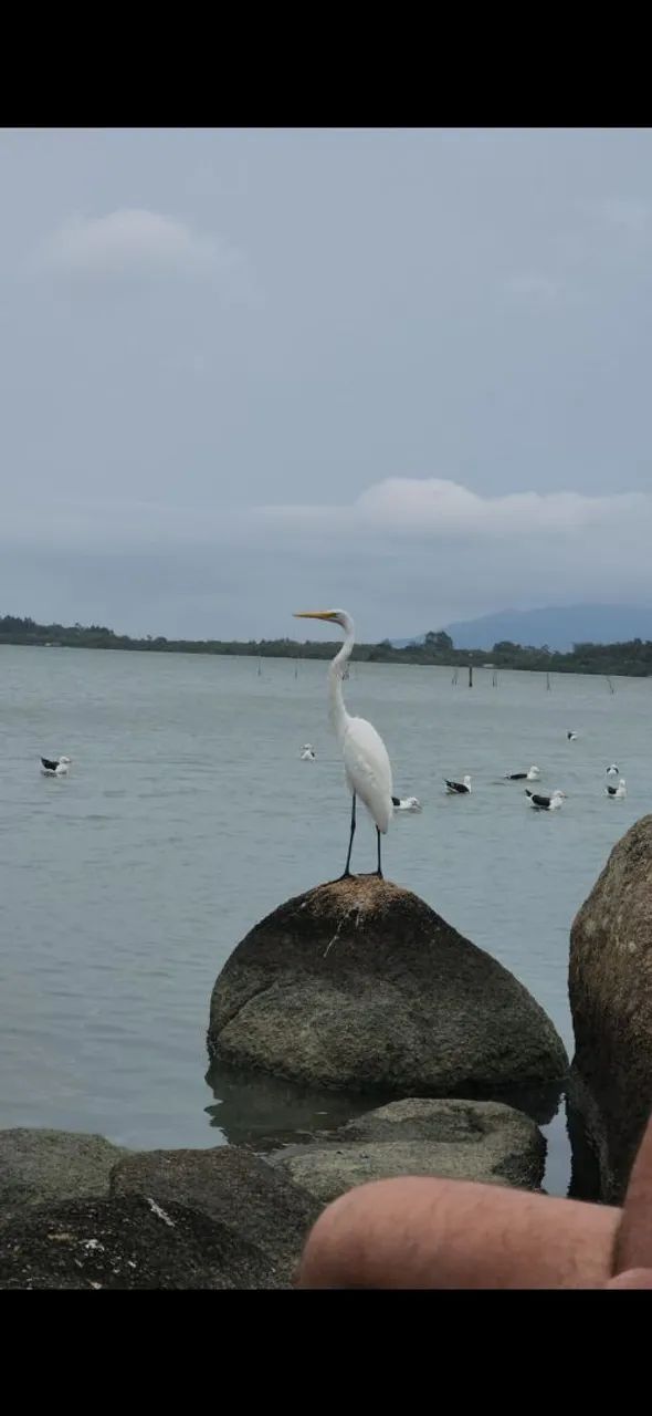 Linda casa Imaruí SC - Foto 5
