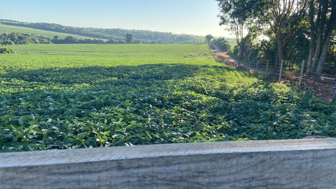 Fazenda Extra 50 Alqueires - Indiara! - Foto 4