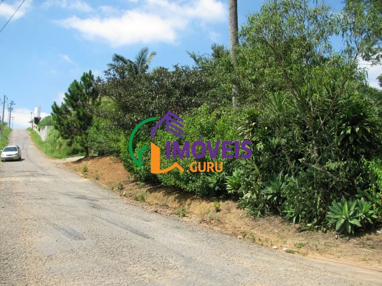 AREA - LARANJA AZEDA - SP
