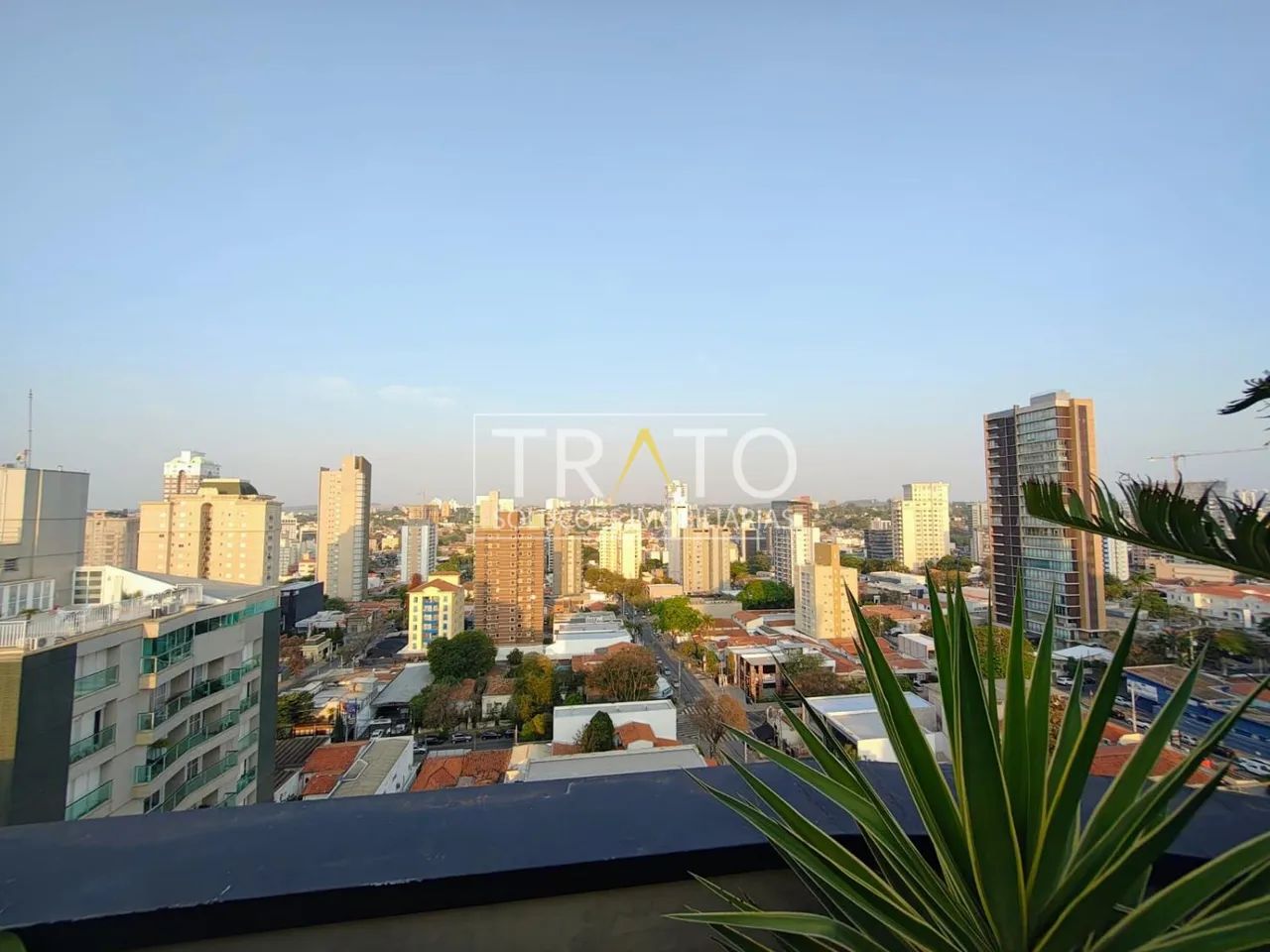 apartamento - Cambuí - Campinas - Foto 2