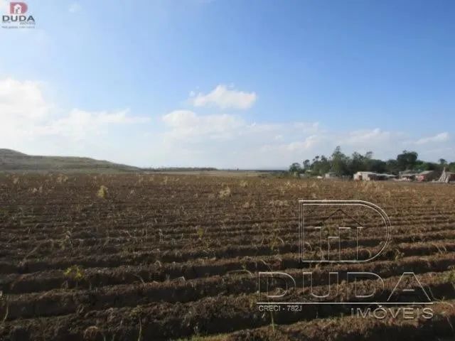 Terreno Rural pronto para plantio. - Foto 4