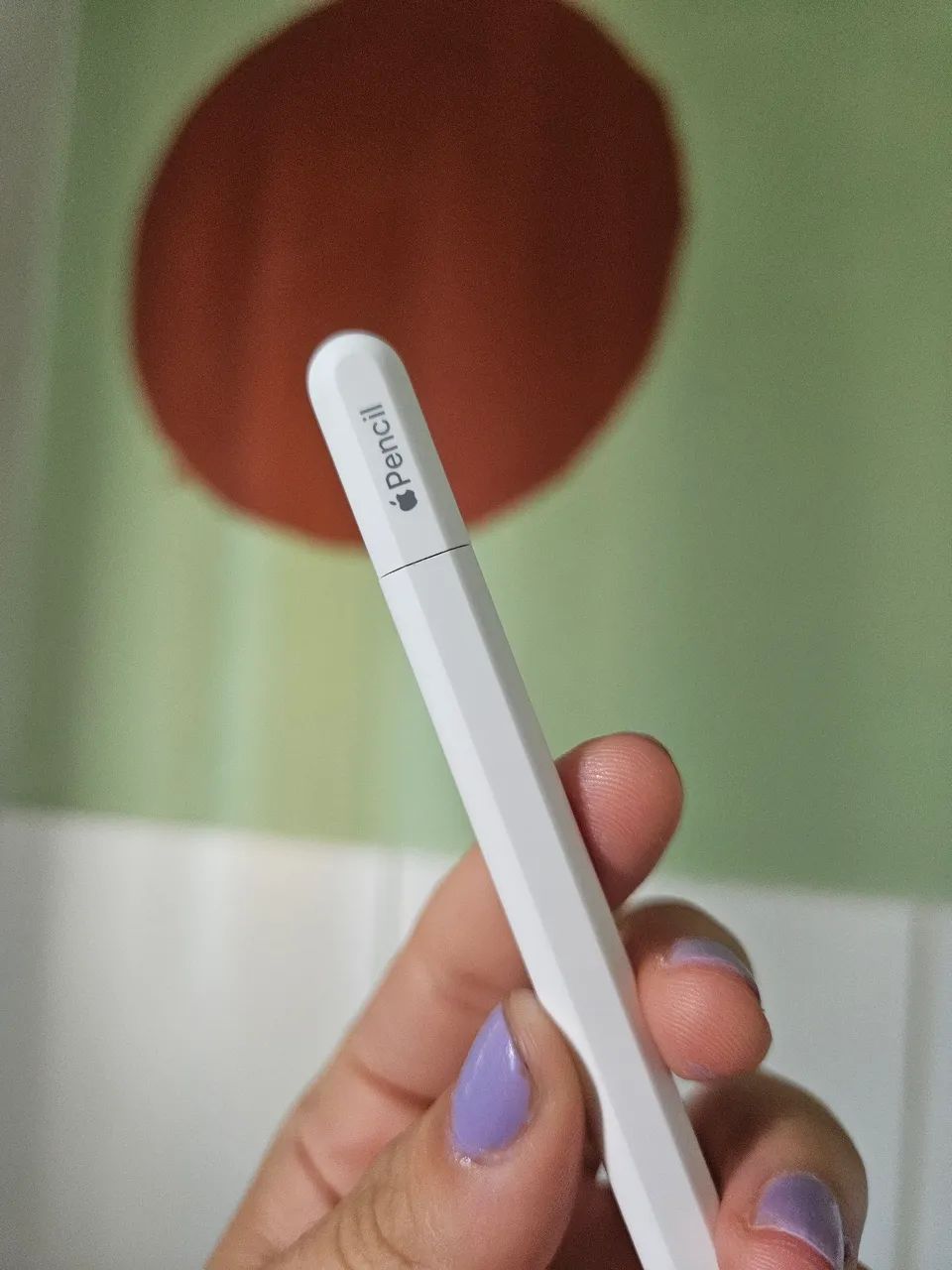 Apple pencil USB-C - Acessórios de Celular - São Gerardo