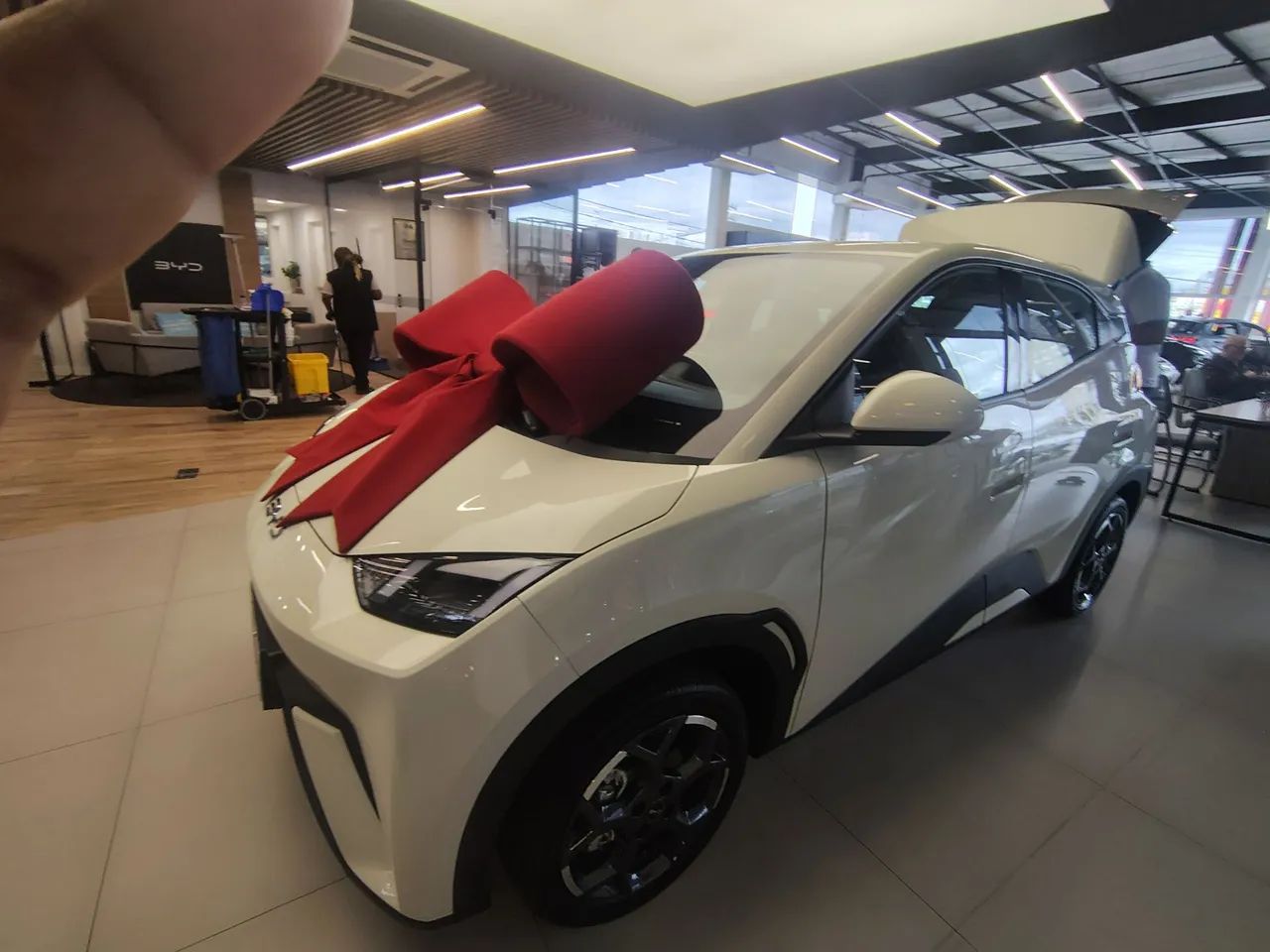 BYD Dolphin Mini (Elétrico) 2026 - Foto 4