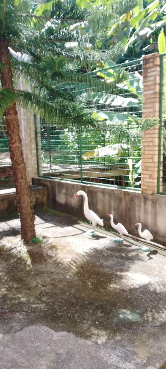 Sítio em Baturité ce - Foto 5