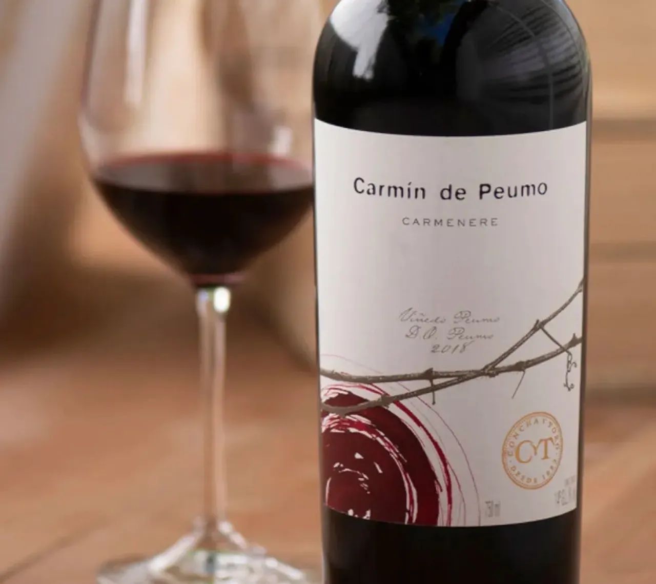 Vinho Carmin de Peumo KIT 6UND  - Foto 2