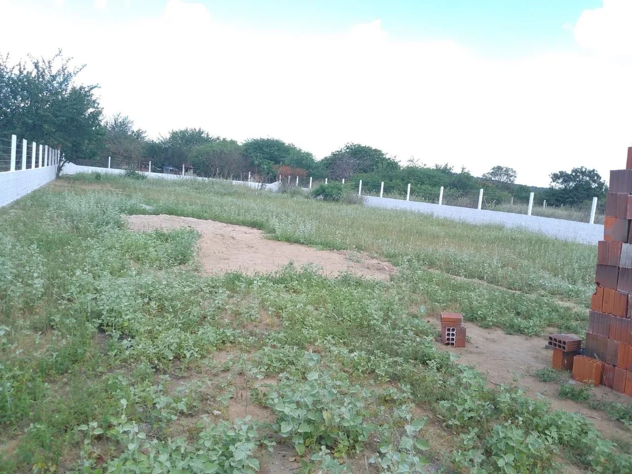Foto - Petrolina - Dom Avelar