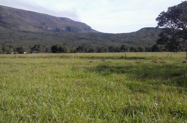 Lindo Sítio 20 alqueires em Formosa GO - Foto 6