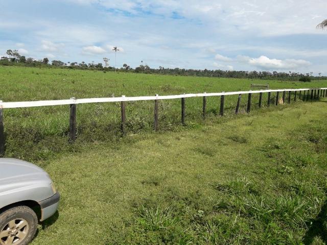 Fazenda de 261 alqueires, com 250 aberto 30 km de Nova Santa Helena -MT - Foto 12