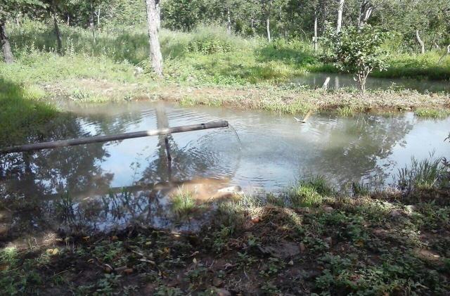Lindo Sítio 20 alqueires em Formosa GO - Foto 10