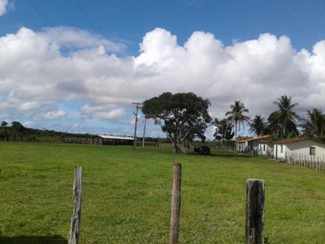 Fazenda em Mascote/BA 160 hectares
