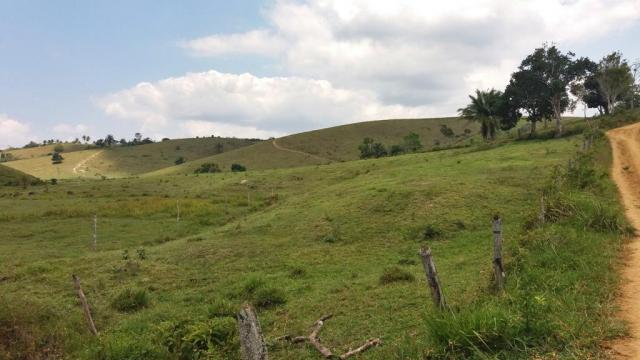 Fazenda 240 has em Tancredo Neves/BA - Foto 9