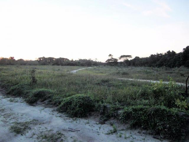 Terreno de 900 mil m2 em Porto Seguro - Foto 14