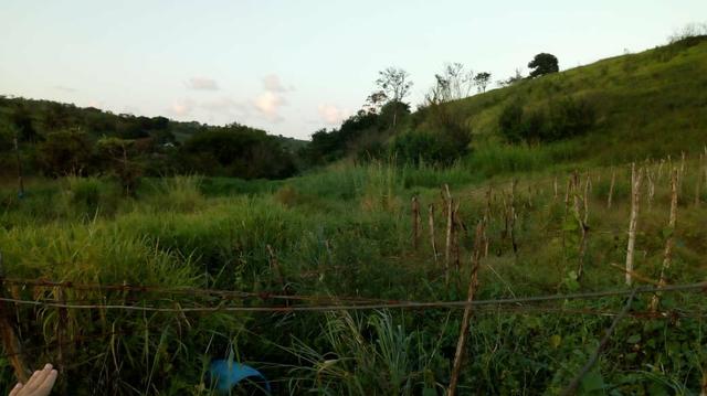 03 Hectares Com Água e Luz Em Chã Grande - PE - Foto 11