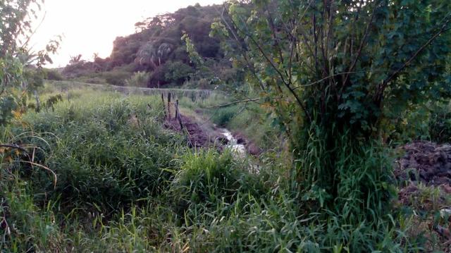 03 Hectares Com Água e Luz Em Chã Grande - PE - Foto 10