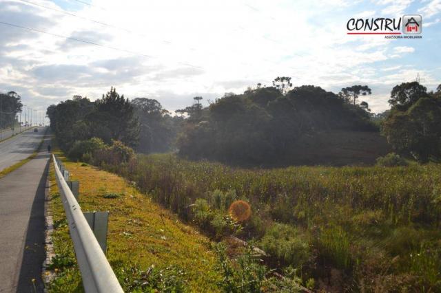 Terreno área de 12.100 m² r$ 2.200.000 - colônia rio grande - são josé dos pinhais/pr - Foto 10