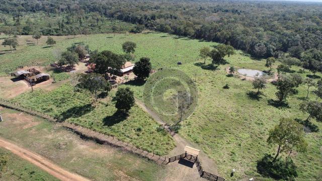 Fazenda 330 ha, região e poconé - Foto 5
