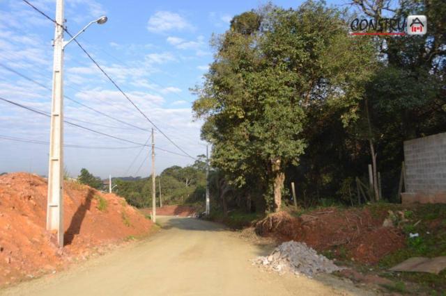 Terreno área de 12.100 m² r$ 2.200.000 - colônia rio grande - são josé dos pinhais/pr - Foto 3