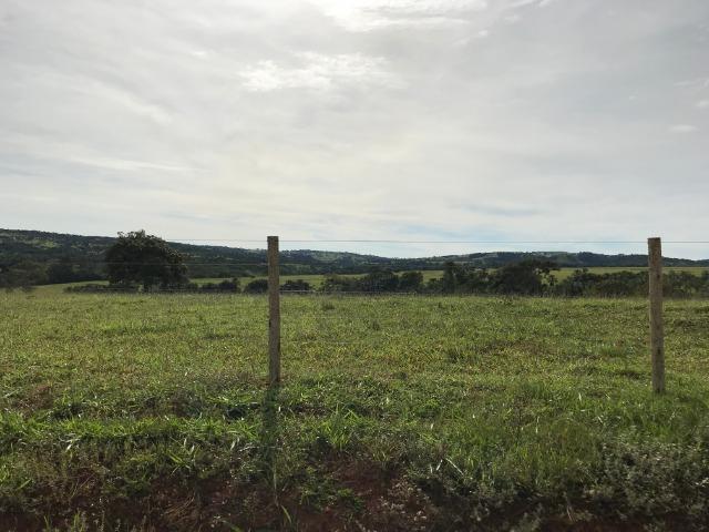 Fazenda 37,3 Alqueires ( 180,85 ha )- Nova Fátima-GO\Hidrolândia-GO - Foto 4