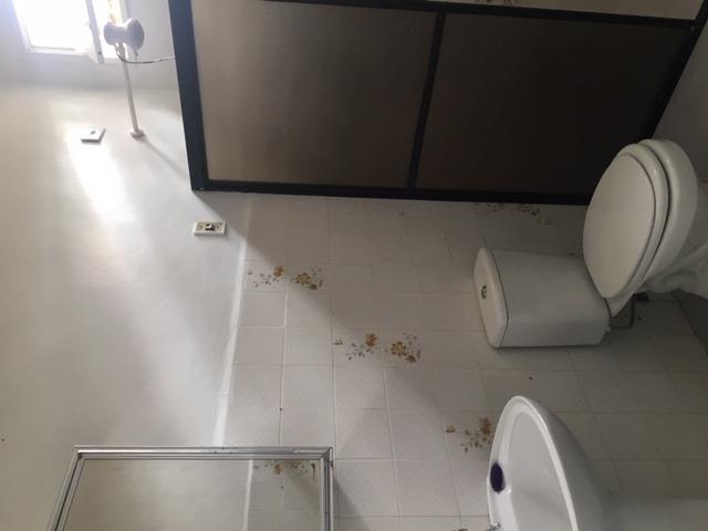 Casa a 500 metros do mar, excelente localização, com 1080 m² de terreno - Foto 15