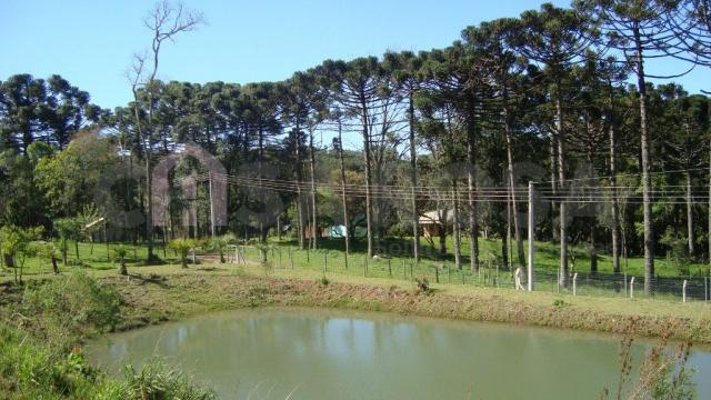 Chácara à venda em Interior, Fazenda souza cod:145 - Foto 7