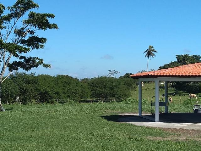 Quinta dos Pássaros - Espaço para eventos - Foto 3