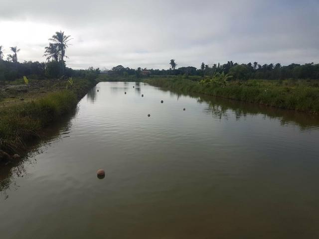 Sítio em Prado BA - Foto 6