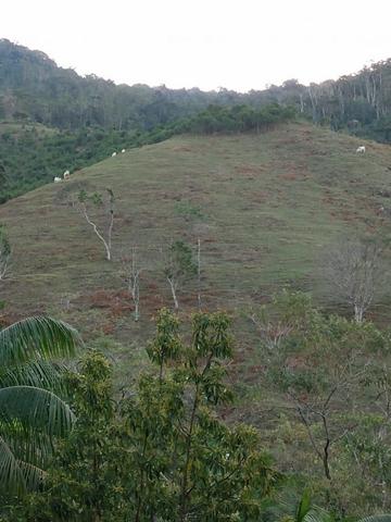 Terreno com 8 alqueires=19 hectares - Foto 11