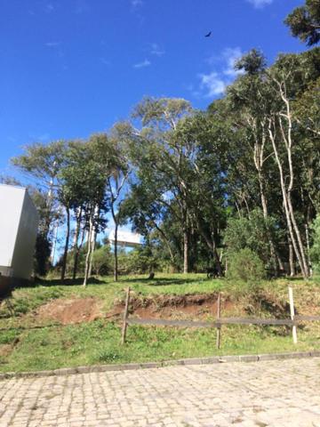 Vendo terreno no Bairro São Luiz