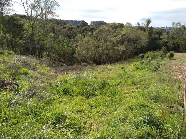Ref. 2385 - Chácara de 5.854,14 m² com tanque e Luz - Contenda - Foto 6