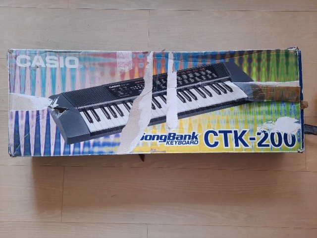 casio ctk200