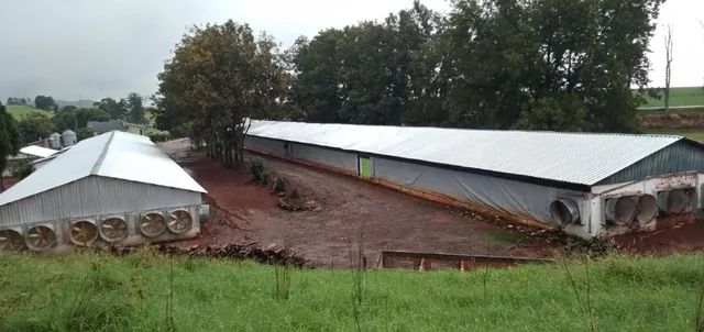 Granja 26.180m2 - Verê - PR - Márcio Gnoatto - Foto 2