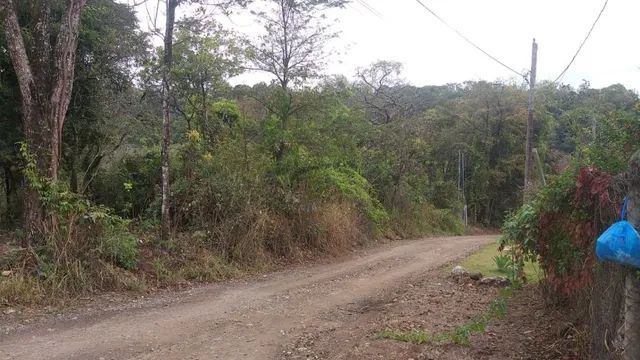 Estrada Saraiva em Betim - Chácara Ótima Localização.- R$390.000,00 - Foto 4