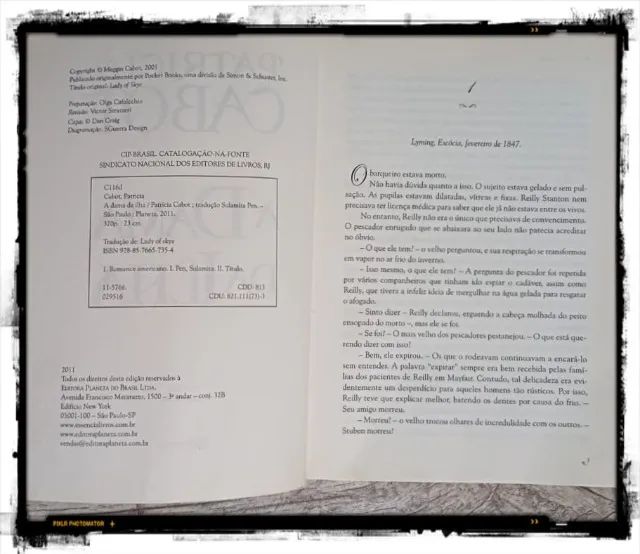 Livro: A dama da ilha - Foto 3