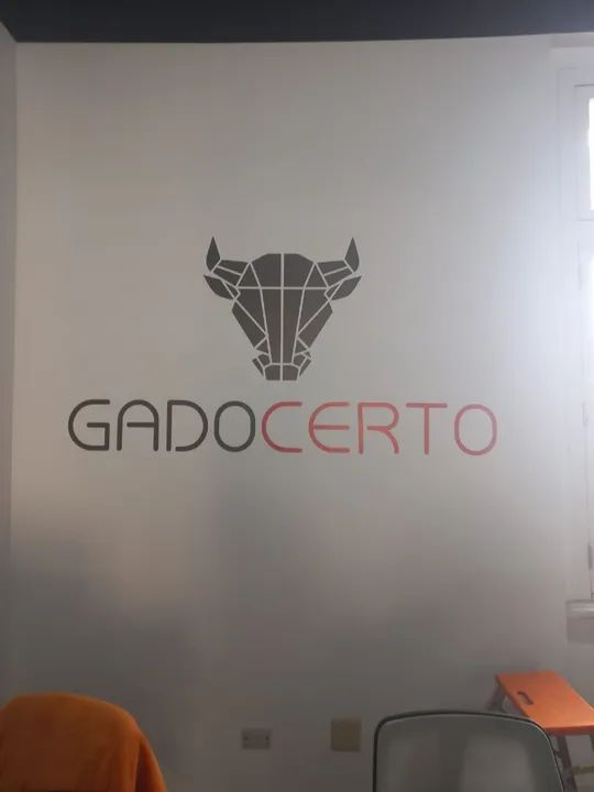 Aplicacao de Papel de Parede e Adesivo - Foto 3