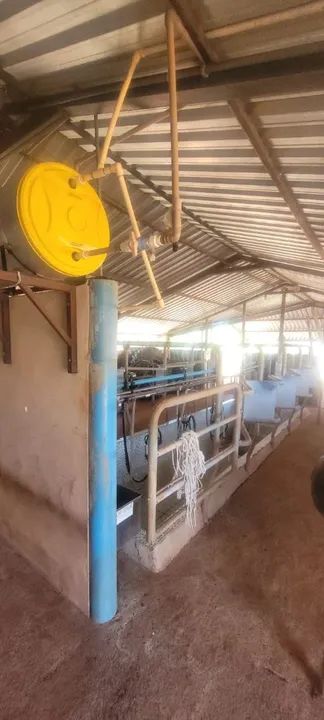 Curral de ordenha para venda - Ideal para sua fazenda! - Foto 2