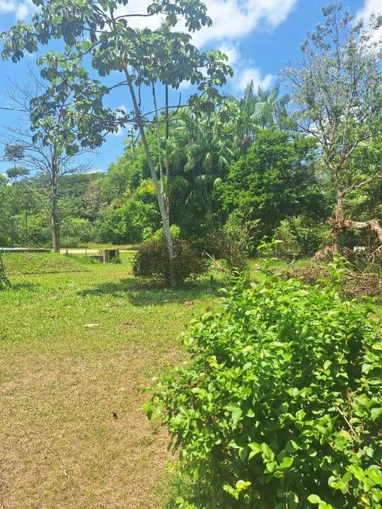Terreno em Benevides  - Foto 3