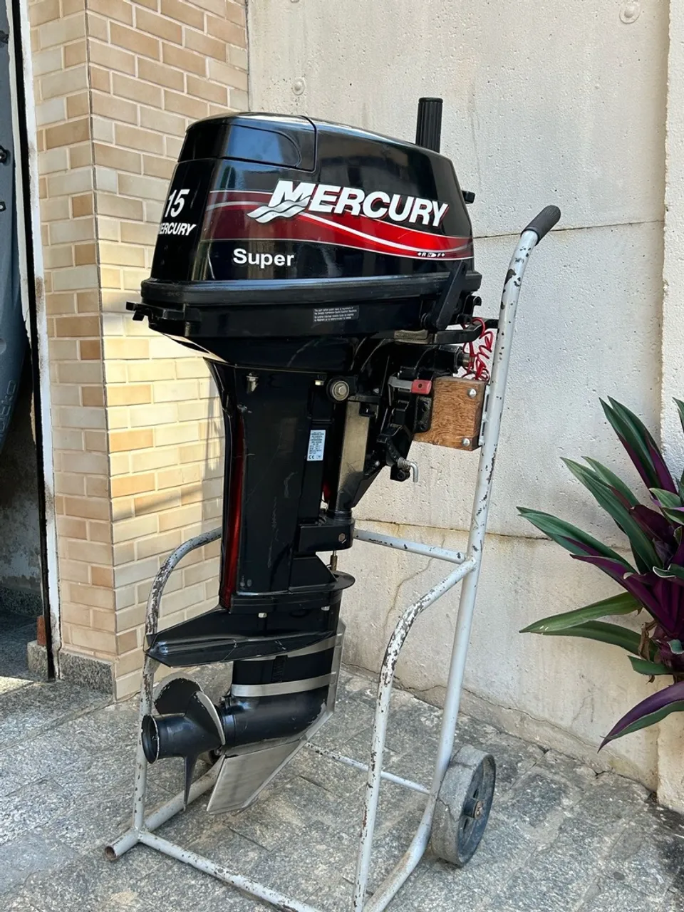 Motor usado Mercury 15 Super 2013