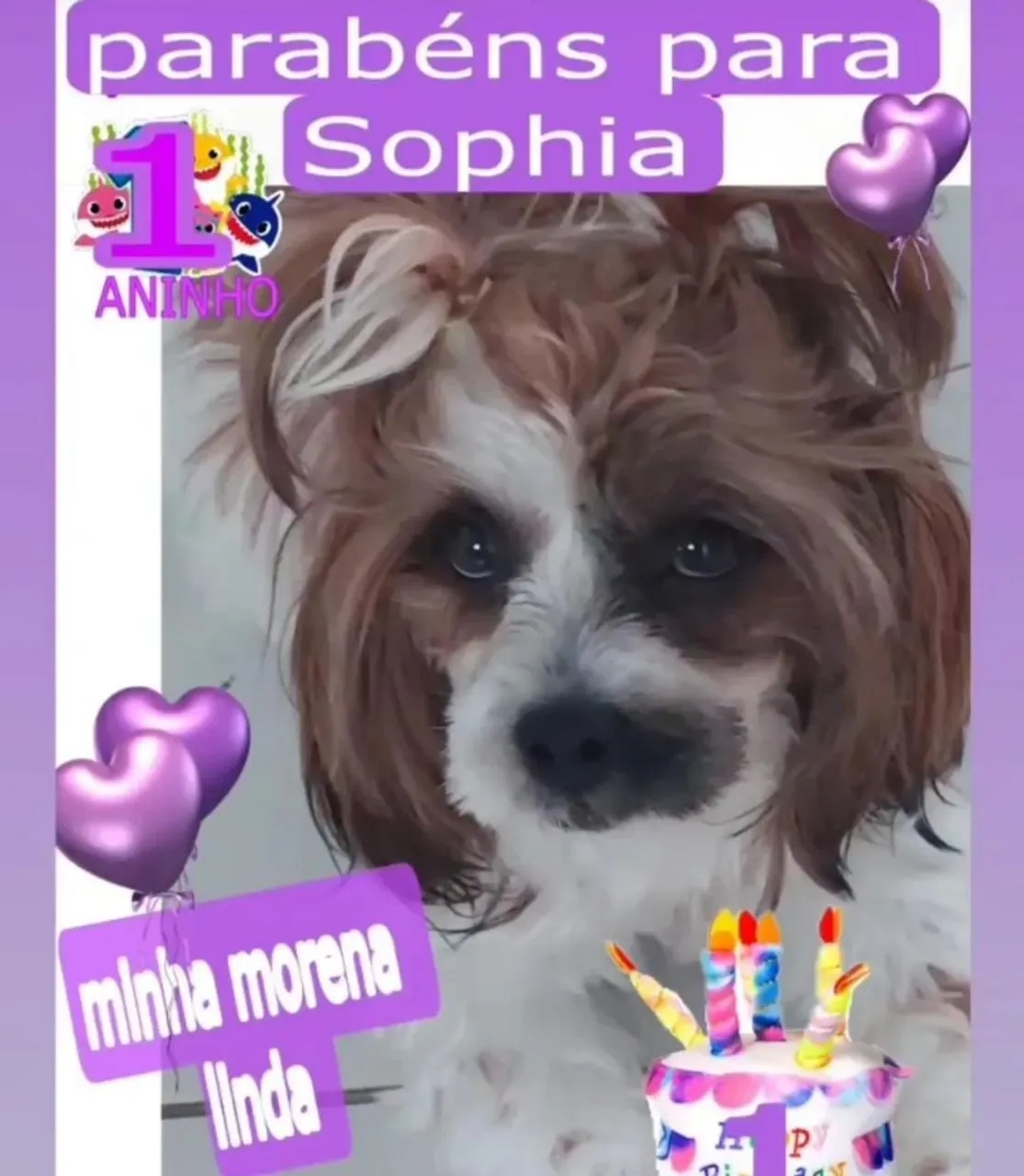 Sophia 3 Aninho femia