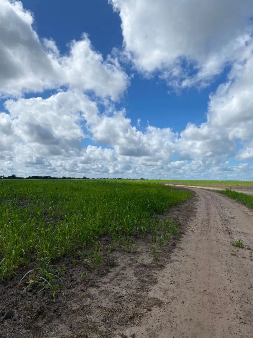 Fazenda 400 Ha Asfalto Energia Água Internet Região Desenvolvida - Foto 6