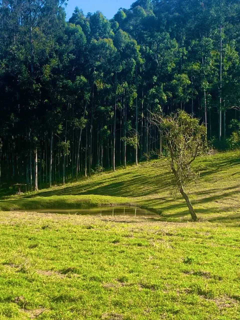 Residencial em expansão com infraestrutura entregue e condições especiais