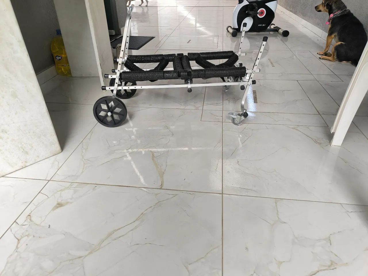 Cadeira de rodas para cachorro - Foto 2