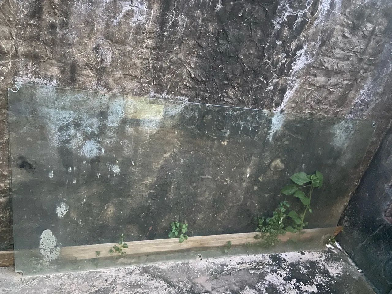 Folha de vidro temperado lado fixo  - Foto 4