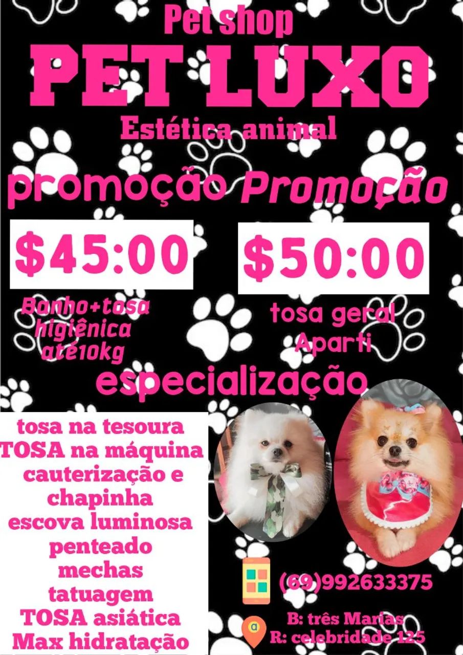 Pet Shop - Promoção de Tosa - Foto 2