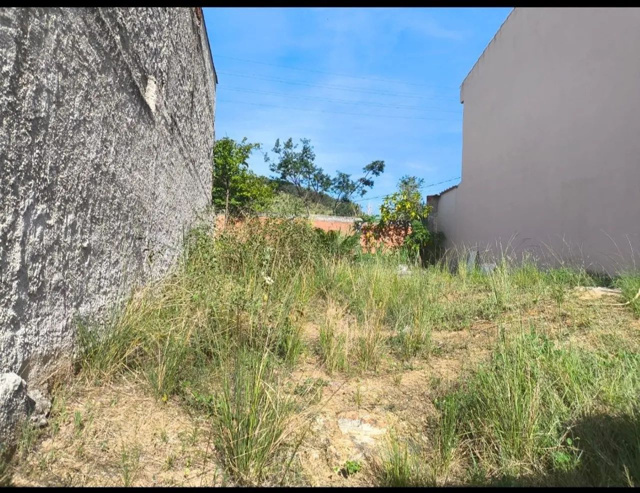 Foto - Rio de Janeiro - Campo Grande