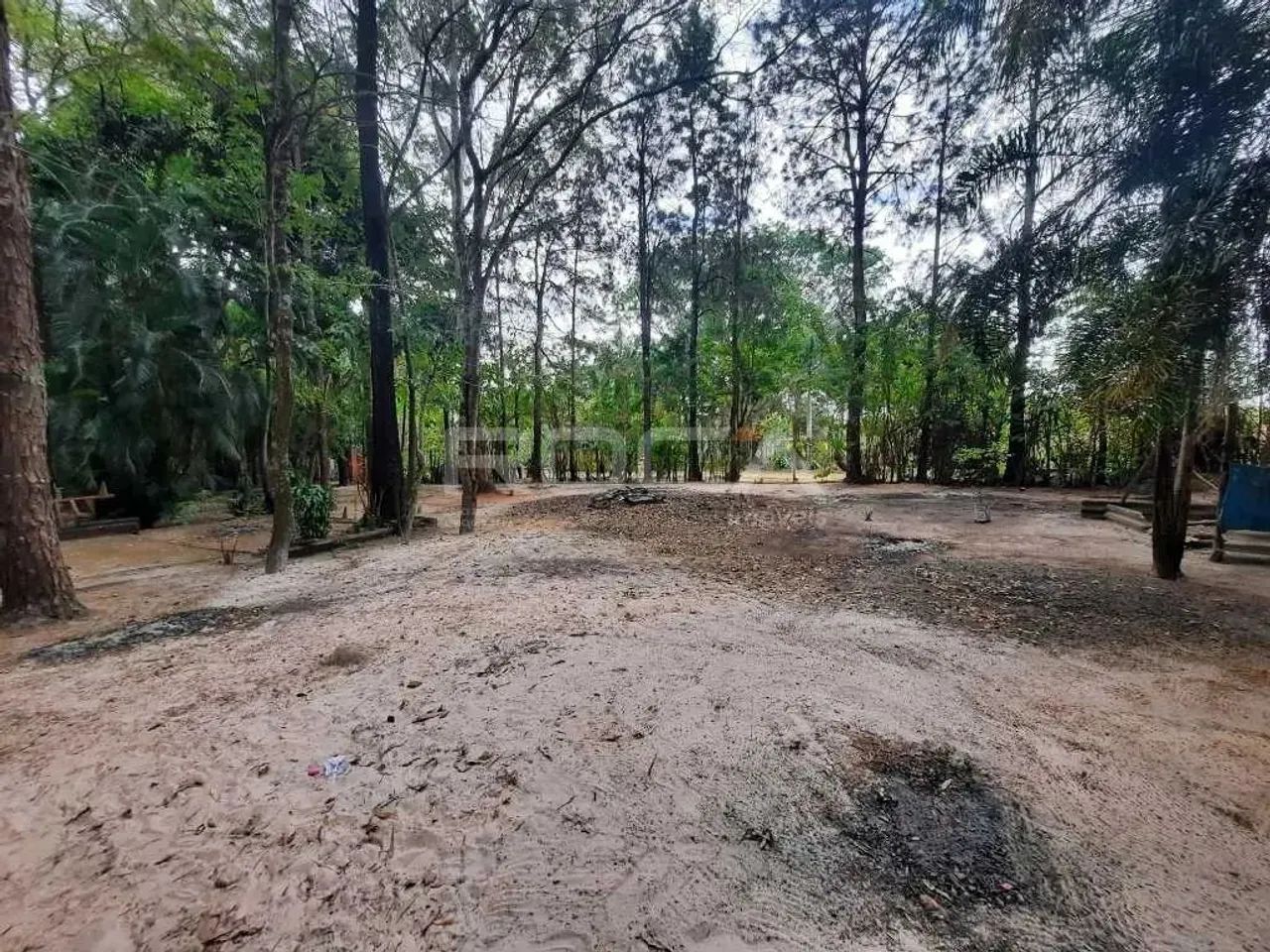 Venda de Rural / Chácara na cidade de São Carlos - Foto 8
