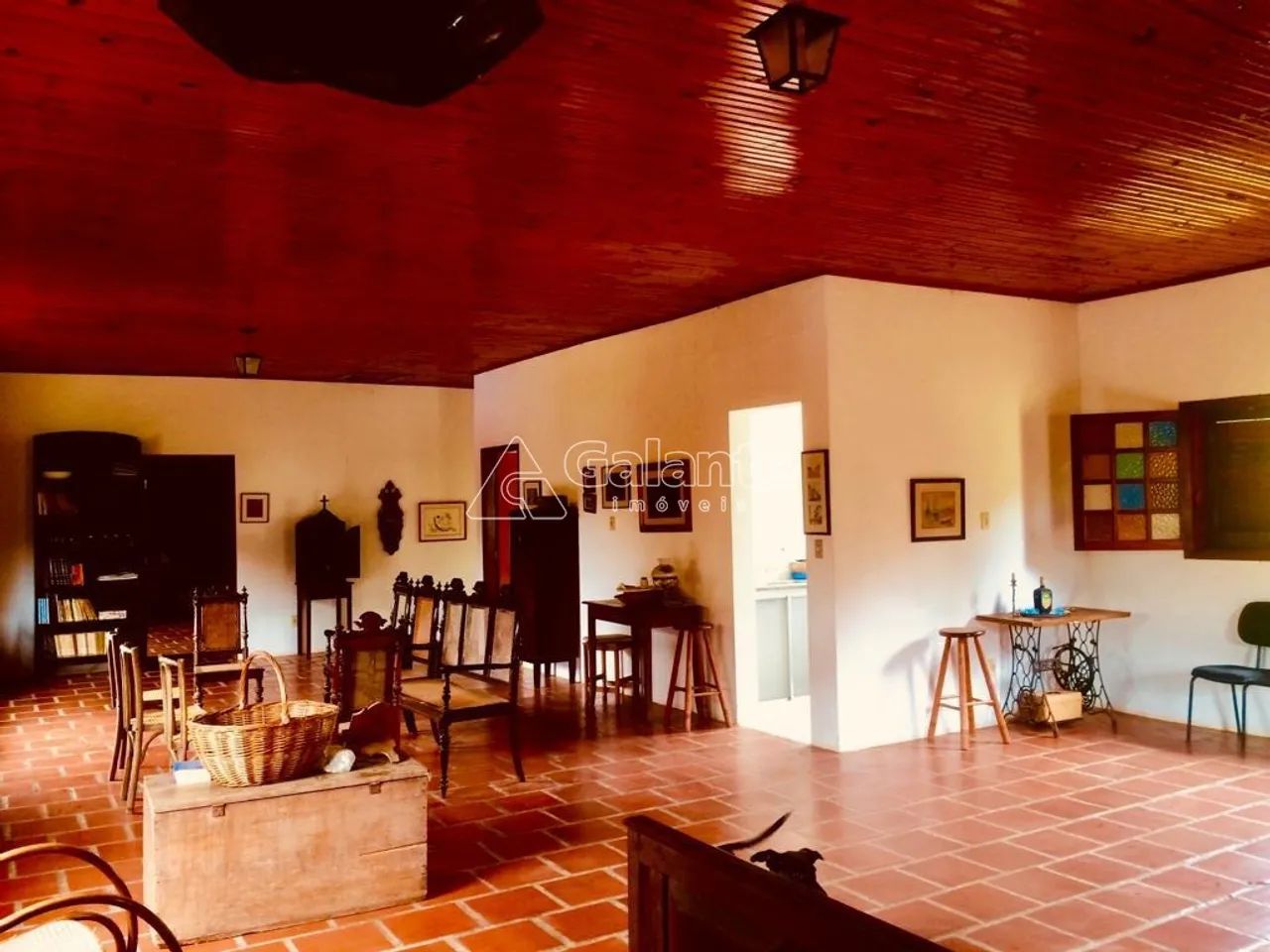 sítio - Jardim Seabra - Amparo - Foto 5