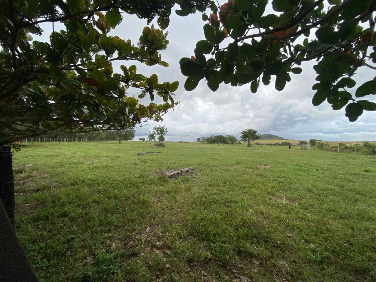 Fazenda próximo à Primavera do Leste-MT - Foto 4