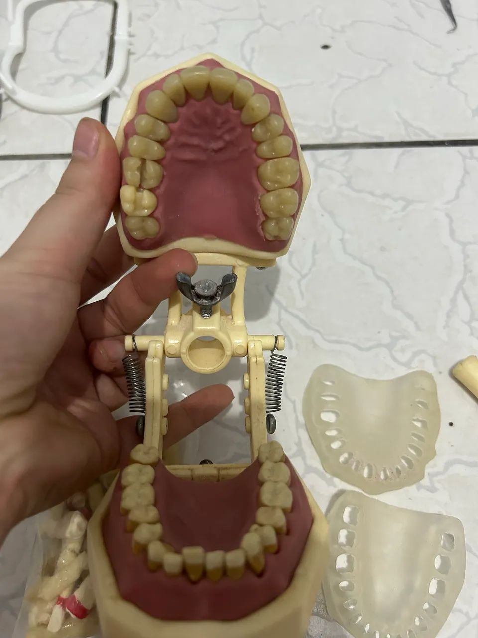 Manequim odontológico  - Foto 3