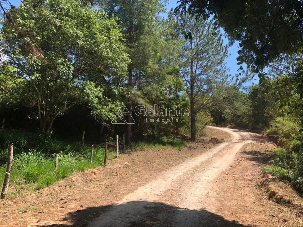 sítio - Jardim Seabra - Amparo - Foto 14